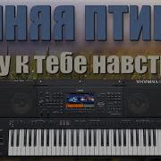 Синяя Птица Антонов Я Иду К Тебе Навстречу Кавер Синтезатор Yamaha