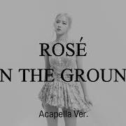 Rose On The Ground Acapella