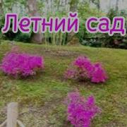 Владимир Алмазов Летний Сад
