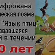 Хадисы Аль Бухари Mp3 Скачать Бесплатно