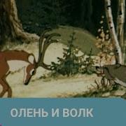 Новогодний Олень И Волк