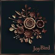 Gimme Some More Joybird