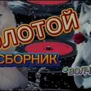 Золотой Сборник Волчица