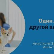 Одного Лечит Других Колечит