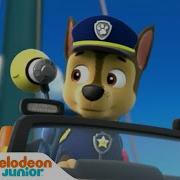 Paw Patrol La Grande Course Opening