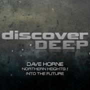 Dave Horne Northern Heights Original Mix