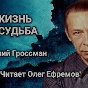 Гроссман Василий Жизнь И Судьба