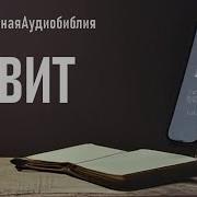 Книга Тавита
