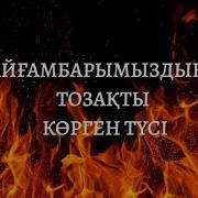 Пайгамбардын Тозакты Корген Туси