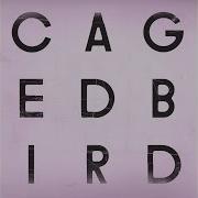 The Cinematic Orchestra A Caged Bird Imitations Of Life Instrumental