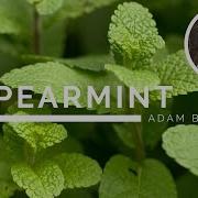 Spearmint Demo