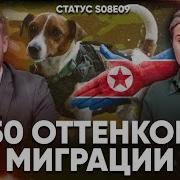 50 Оттенков Миграции Статус S08E09