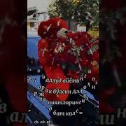 Мохигул Исмига Исломча Тугулган Кун Табриги