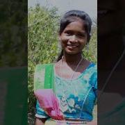 Gidra