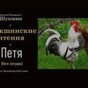 Шукшин Петя