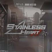 Msr Stainless Heart