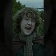 Hobbit In Mordor