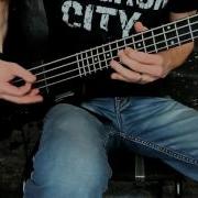 Полет Bass