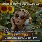 Dj Синицын