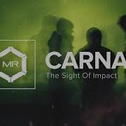 The Sight Of Impact Carnage