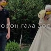 Махбуби Ман Аз Ту Ман Хазорон Гала Дорма
