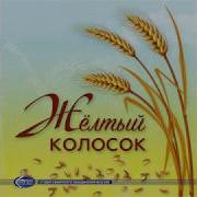 Христианская Песня Жёлтый Колосок