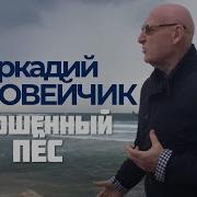 Соловейчик Аркадий