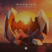 Gaudium 2023