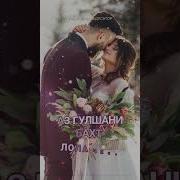 Суруди Духтари Додо
