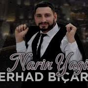 Ferhad Bicare Narin Yagis 2024