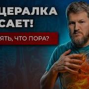 Висцералка