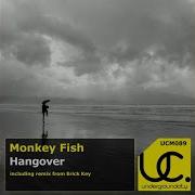 Hangover Monkey Fish