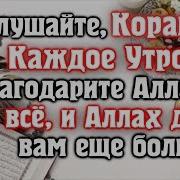 Слушайте Коран Утром
