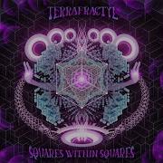 Terrafractyl Squares Within Squares