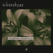 I Like The Way It Feels Original Mix Silvershore