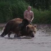 Putin Riding Bear