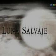 Luna Salvaje Acústico