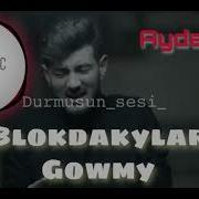 Blokdakiler Gowmy