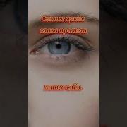 Тайна Поместья Буркот Часть 1
