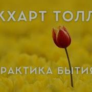 Толле Практика