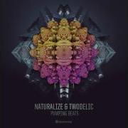 Twodelic Never Be Alone Naturalize Remix