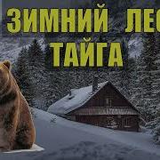 Коляныч Рассказы О Тайге