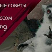 Техники Борьбы Со Стрессом