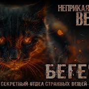 100 Самых Опасных Вещей Фонда Csp Номер 1 Кот Бегемот