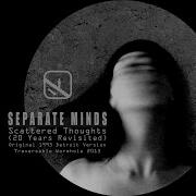 Separate Minds Scattered Thoughts