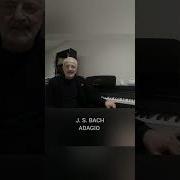 Бах Adagio From Concerto In D Minor Bwv 974 На Органе