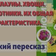 Биология 6 Класс И Н Пономарёва 22 Параграф