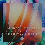 Liquid Soul Dj Dream Liquid Dream Sean Tyas Remix