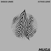 Is This Love Disco Lines