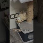 Ретроградный Меркурий Меме
